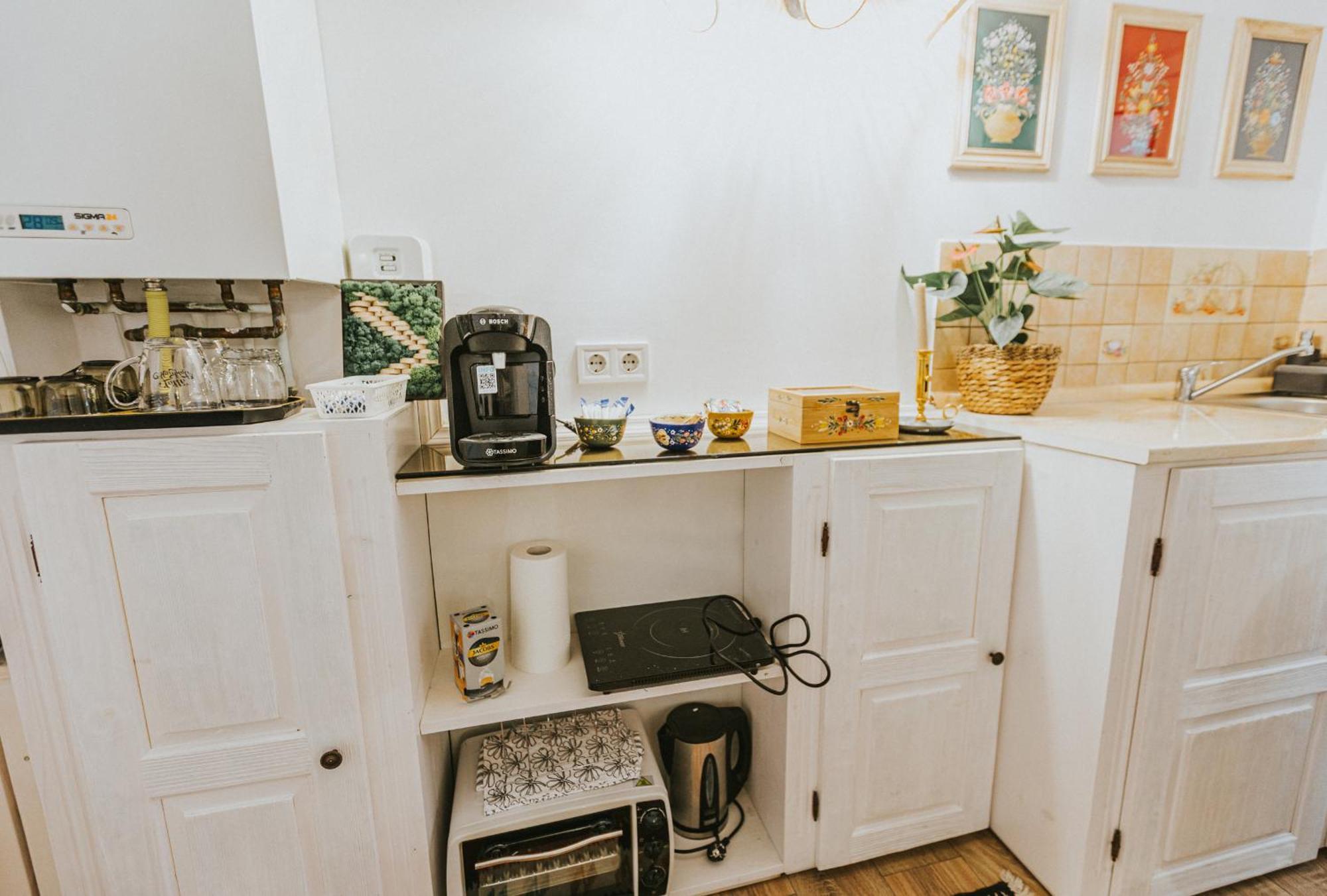 Republicii Rustic Apartament In Brasov City Center Экстерьер фото