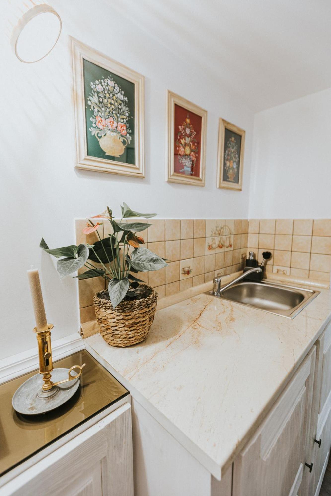 Republicii Rustic Apartament In Brasov City Center Экстерьер фото