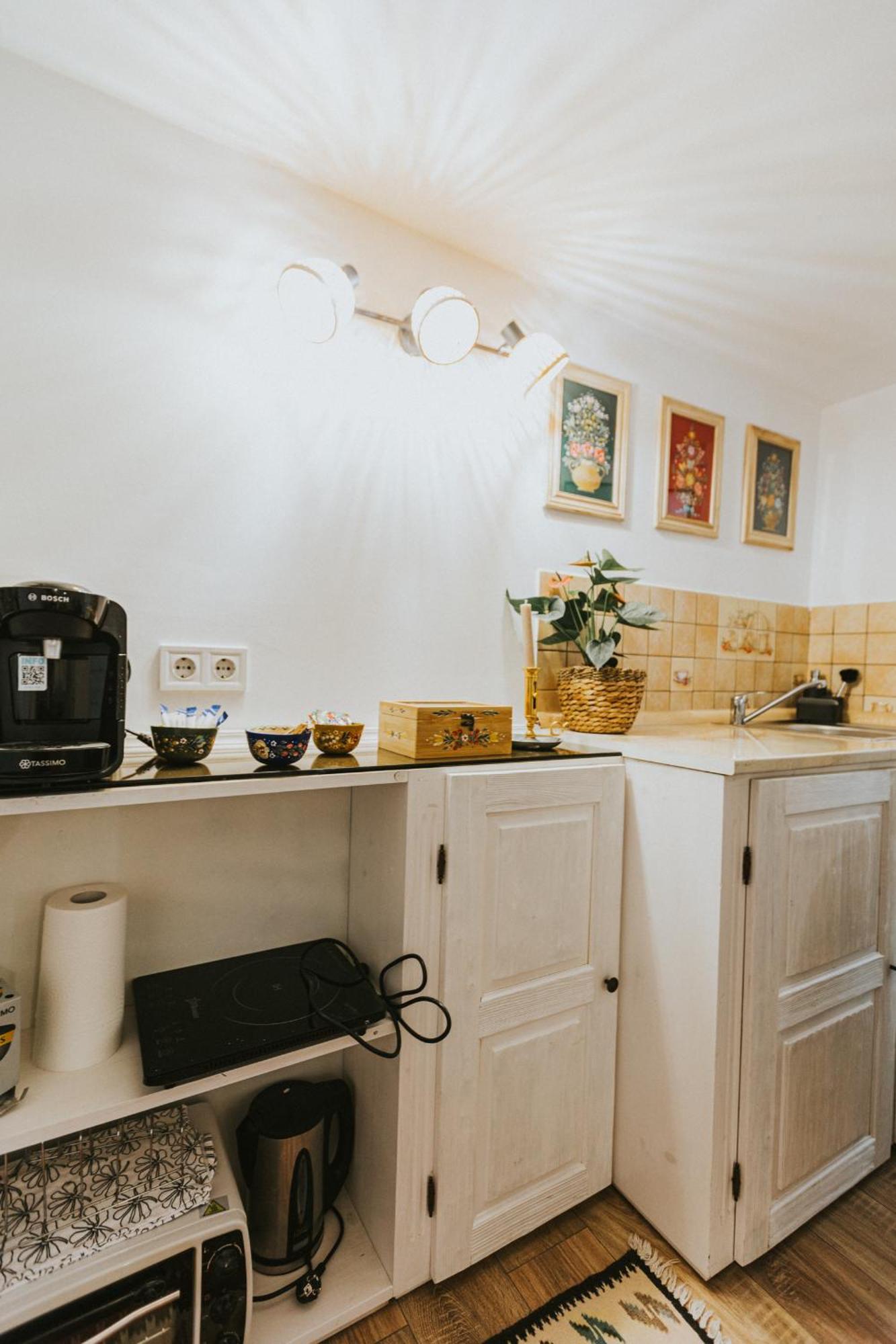 Republicii Rustic Apartament In Brasov City Center Экстерьер фото