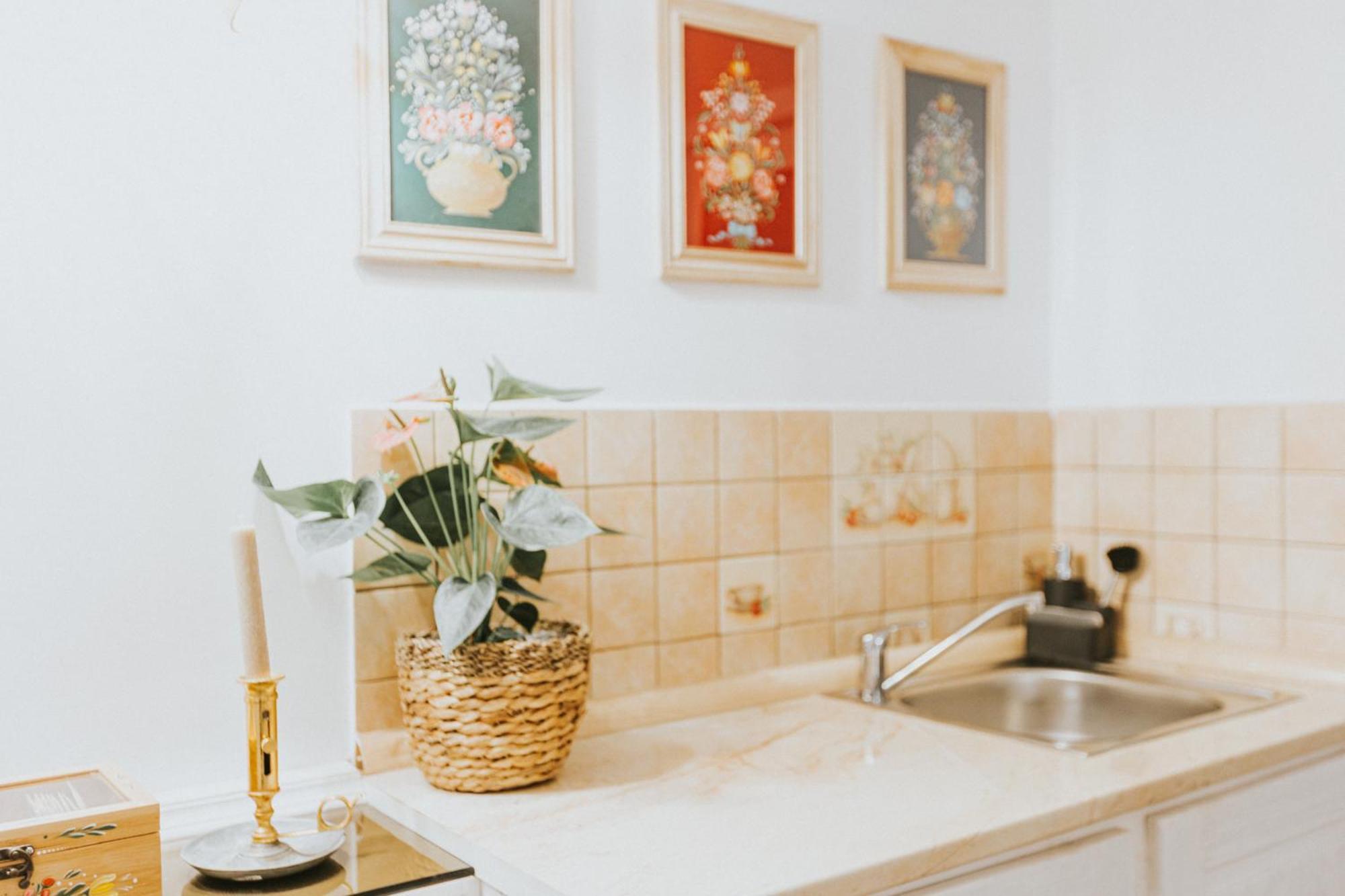 Republicii Rustic Apartament In Brasov City Center Экстерьер фото