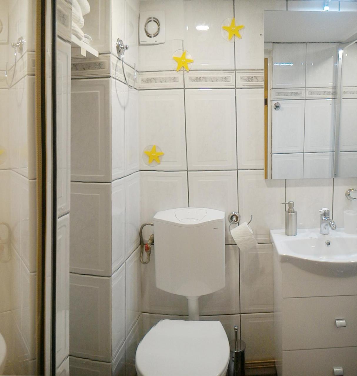 Republicii Rustic Apartament In Brasov City Center Экстерьер фото